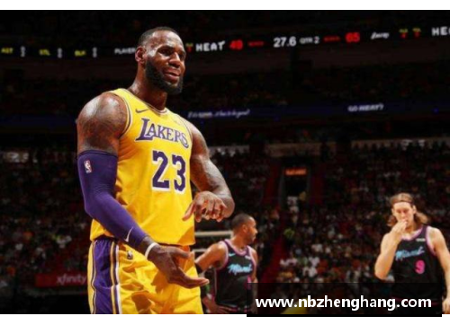 yh86银河国际NBA球员私人飞机：奢华背后的财富与便利