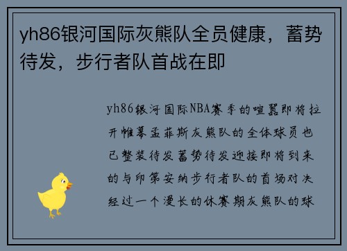 yh86银河国际灰熊队全员健康，蓄势待发，步行者队首战在即